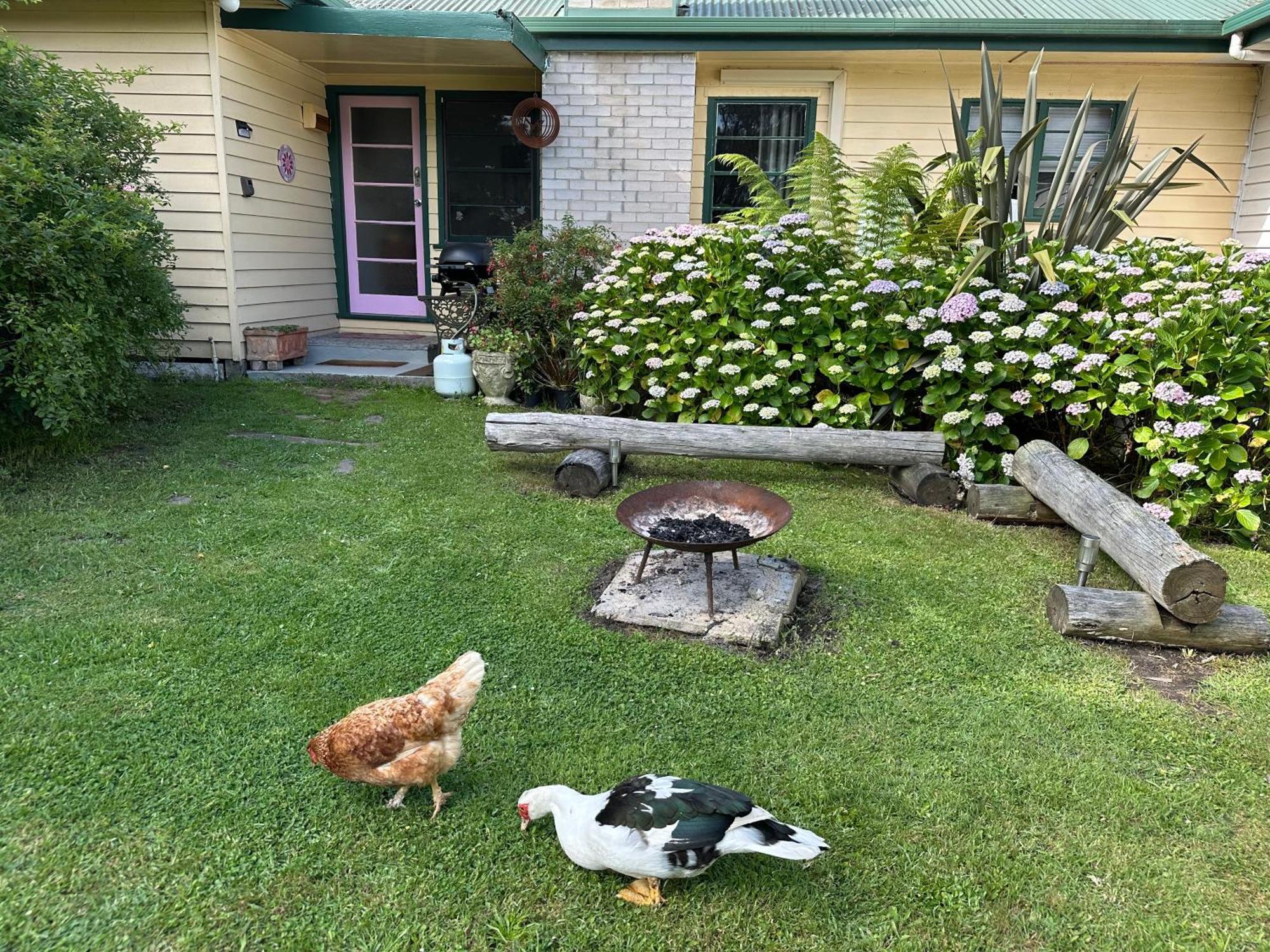 Bush Retreat Farm Stay 2 Bedroom Guest Suite Gelliondale Buitenkant foto
